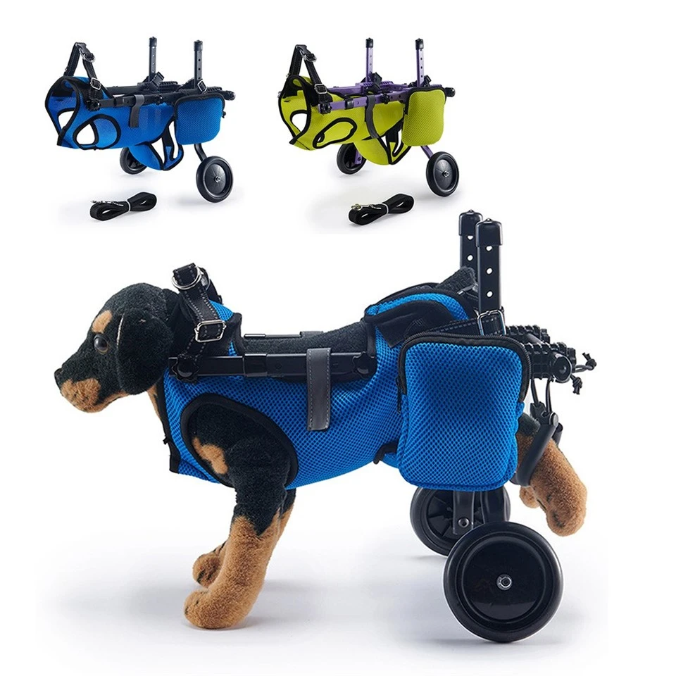 Small Dog Wheelchair For Back Legs best