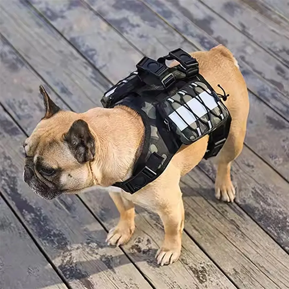 Memanfaatkan anjing dengan saddlebags