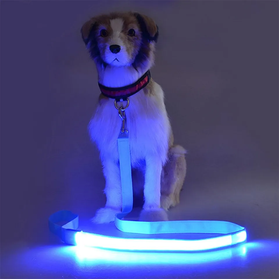 Kolar dan tali anjing yang menyala