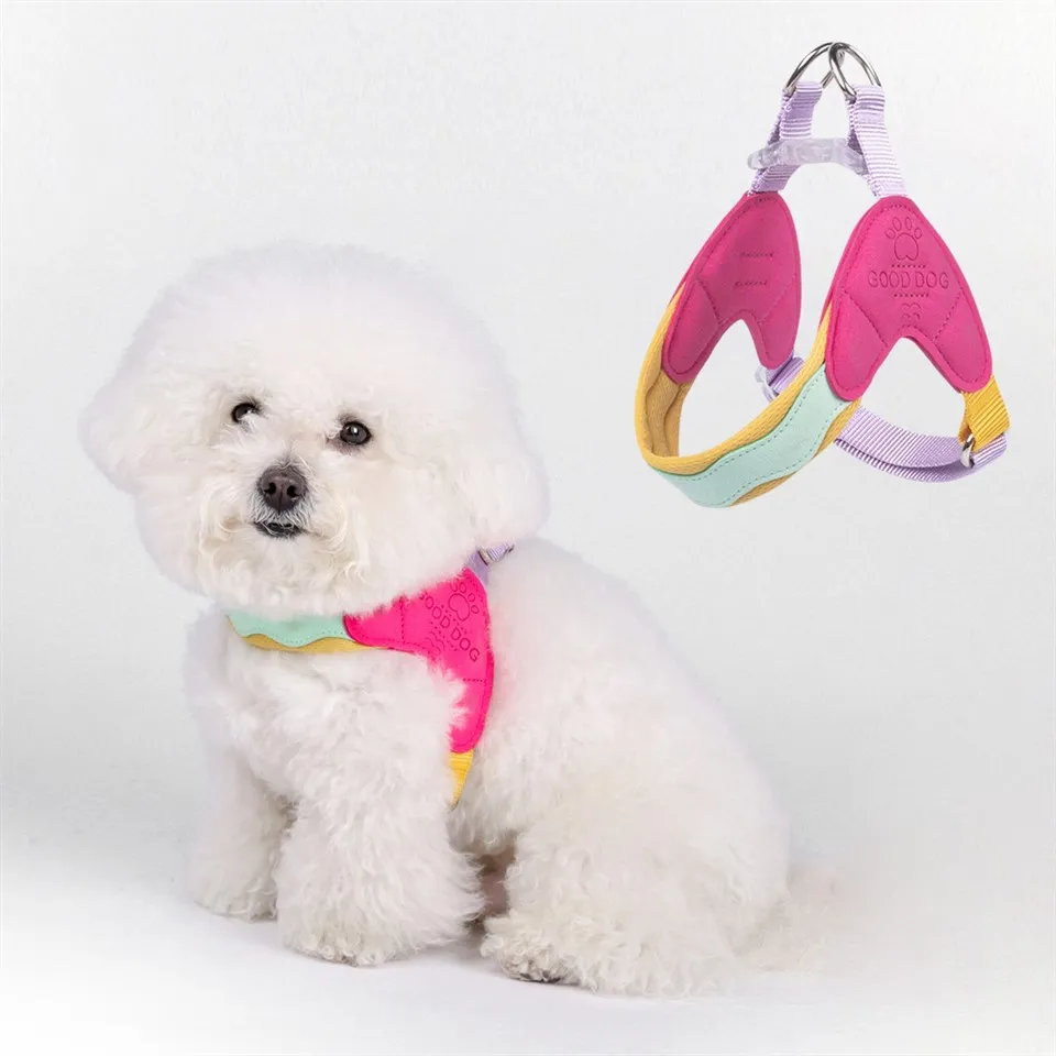 Puppy memanfaatkan anjing kecil